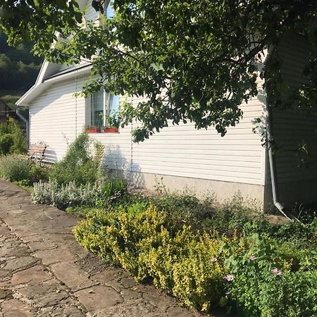 Ferienwohnung Карпатська Мавка Worochta Exterior foto