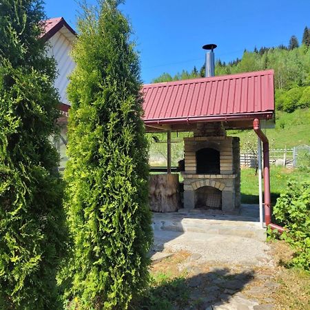 Ferienwohnung Карпатська Мавка Worochta Exterior foto