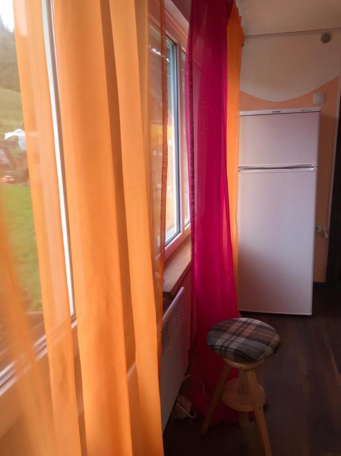 Ferienwohnung Карпатська Мавка Worochta Exterior foto